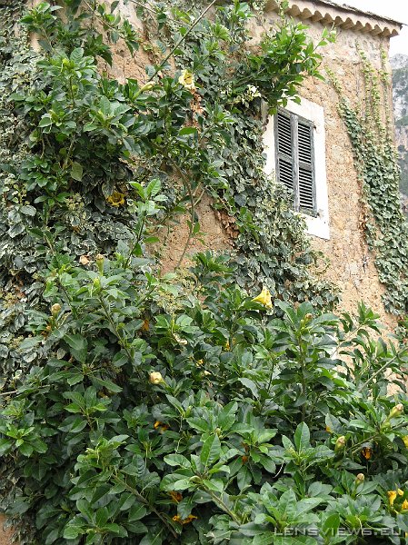 2006_11_22 11_40_34 OLYMPUS DIGITAL CAMERA         